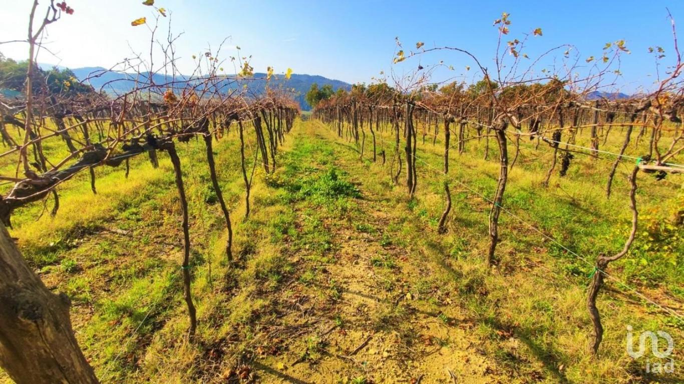 Podere Mona Помаранче Екстер'єр фото